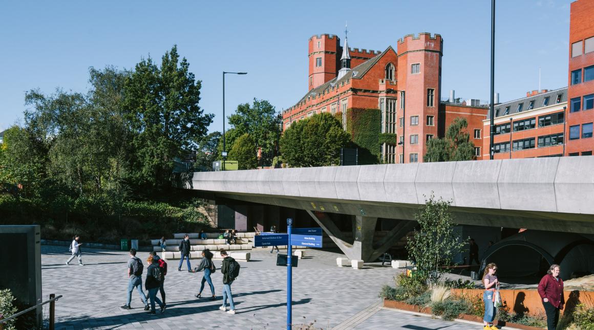 University of Sheffield